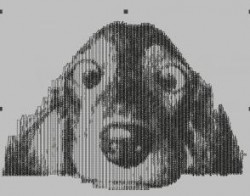333.JPG