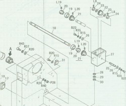 Tajima1.jpg