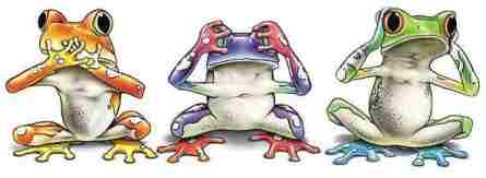 frog.jpg