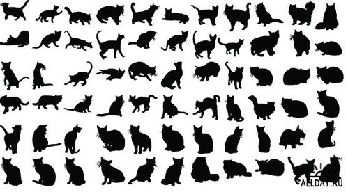 1229448270_allsilhouettes_com_cats.jpg