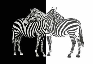 zebra_an.jpg