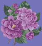 IRKf 024f.jpg