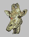 Giraf_Broidery.Ru.jpg