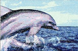 дельфин2.jpg
