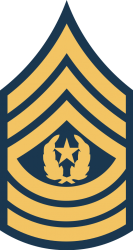 11.Команд-сержант-майор.png