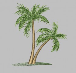 пальма.jpg