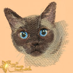 сиамский-кот.jpg