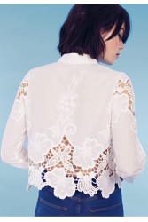 cutwork_crop_blouse_3.jpg