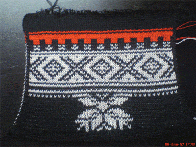 DSC00096-for-Web.gif