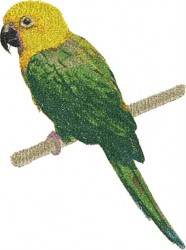 жёлто-зелёный попугай.JPG