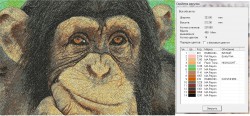 шимпанзе_2.jpg