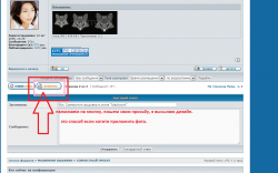ответить на форуме.png