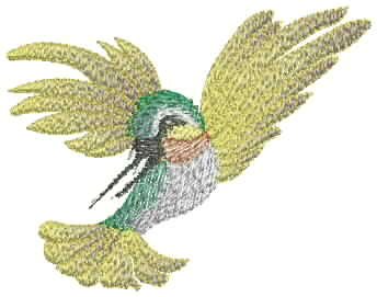 bird1.JPG