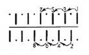 superba2_0021.jpg