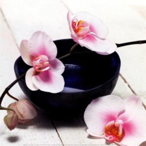 ARE237~Orchid-in-a-Bowl-Posters.jpg