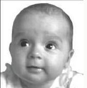 Работаем с изображением в программе Embird 