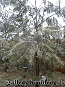 кап-кап-кап... ледяным дождем