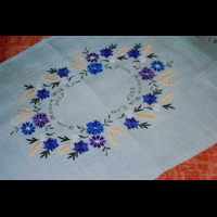 Центр дорожки