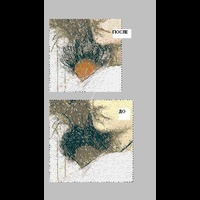 Photostitch. PE-Design 