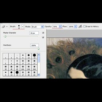 Машинная вышивка. Photostitch. PE-Design 