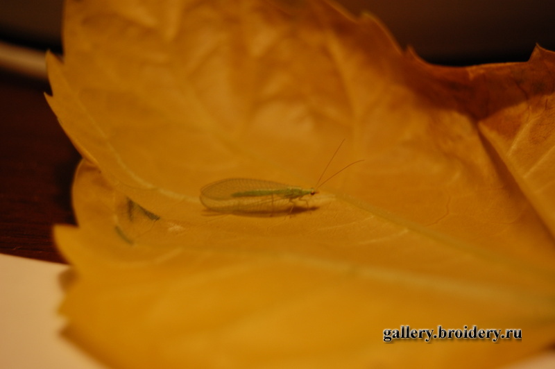 Ну, у кого чего в доме живет...