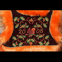 Спинка жилета