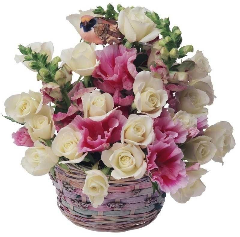 AllDayFlowers110AA111