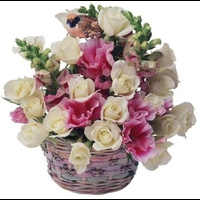 AllDayFlowers110AA111