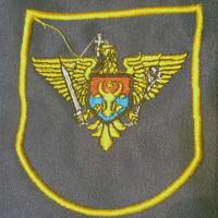 -161