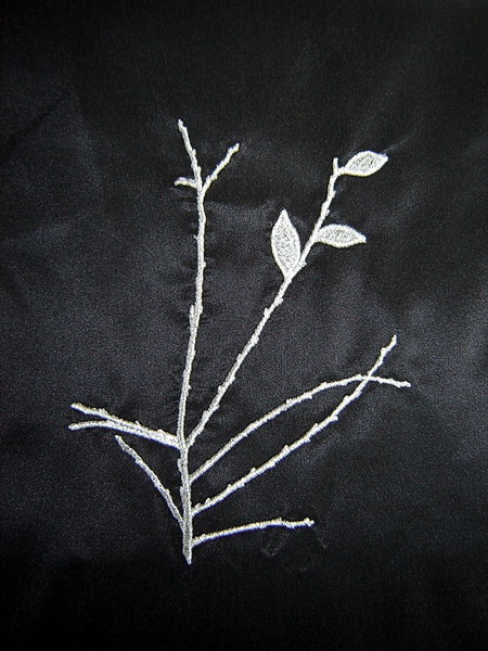 DSC05306sm