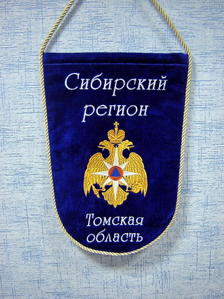 ГИМС, вымпел 2