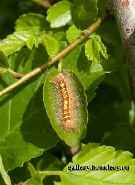 P1011580