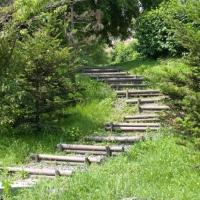 P1012367