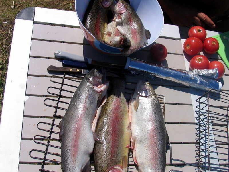 Озеро Белё  Хакасия форель