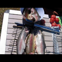 Озеро Белё  Хакасия форель