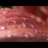 P7233493