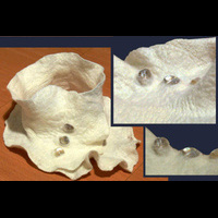 шарфик с перламутром (камни в фелте), крепдешин шелк100%, шерсть100%, сетка