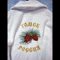 Томск Россия кедр1