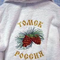 Томск Россия кедр1