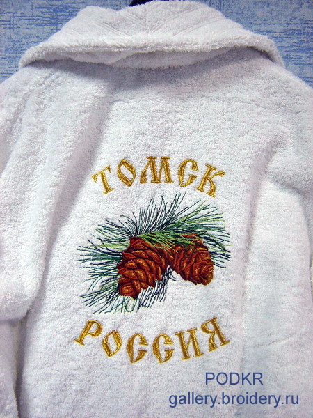 Томск Россия кедр1