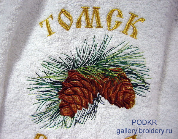 Томск Россия кедр2