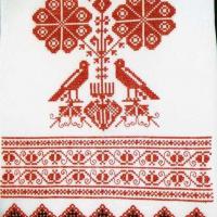 img080_TR