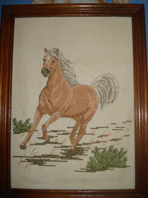 DSC01765