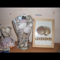 "Золотое руно"