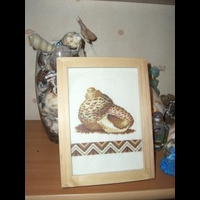 "Золотое руно"