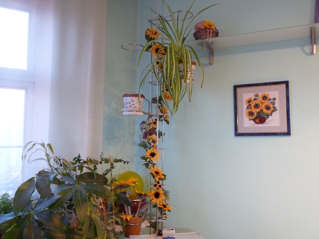 Подсолнухи