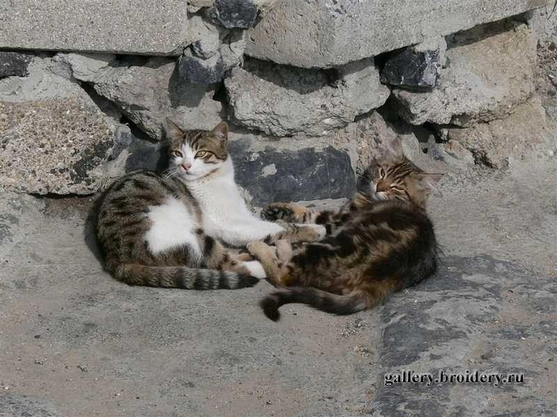P1010041