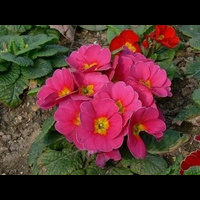 P1010054