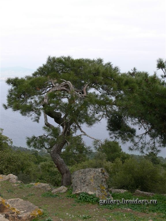 P1010293