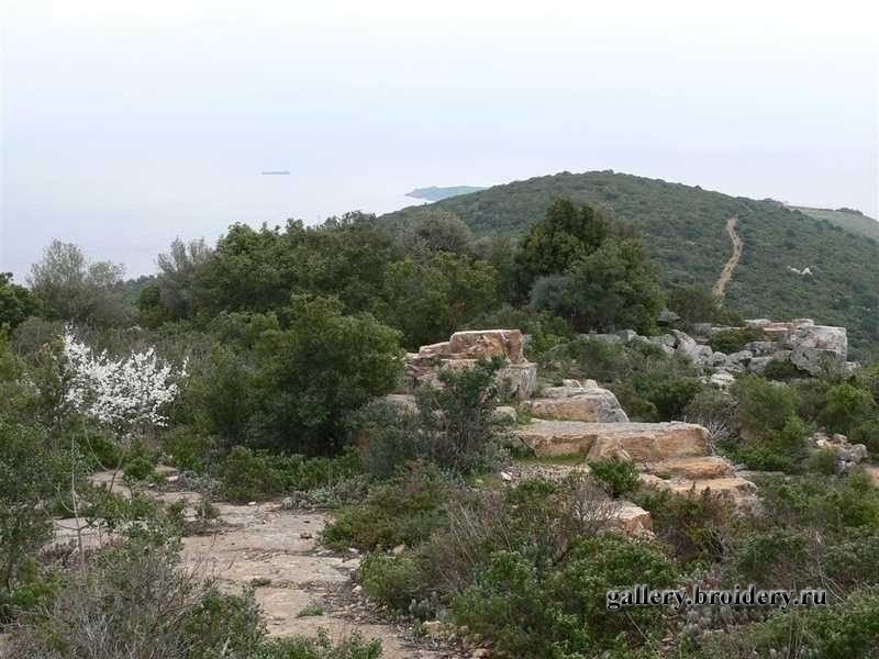 P1010298